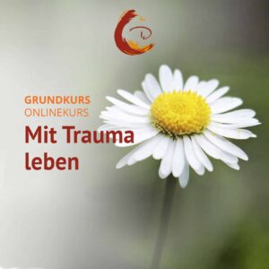 Mit Trauma Leben Grundkurs